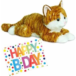 Pluche knuffel kat/poes rood van 30 cm met A5-size Happy Birthday wenskaart - Verjaardag cadeau setje