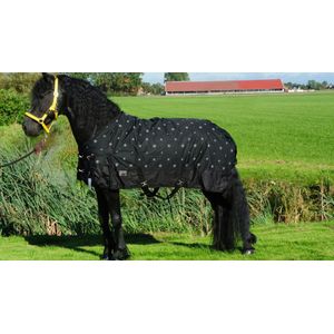 Regendeken luxe 450 gram ster