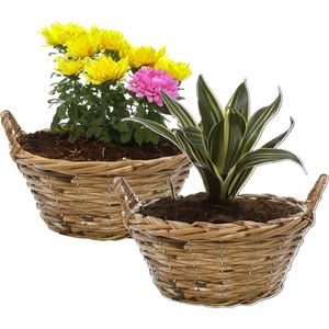 Mega Collections Planten/bloemen mand Cuba - 2x - rotan - bruin - D20 x H11 cm - pot voor buiten