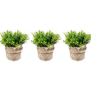 Set van 3x Kunstplanten tuinkers groen in jute pot van 16 cm - decoratie planten