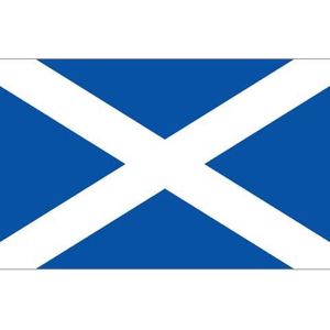 Vlag van Schotland 90 x 150