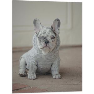 WallClassics - Vlag - Kleine Hond in Grijze Trui Zittend - 60x80 cm Foto op Polyester Vlag
