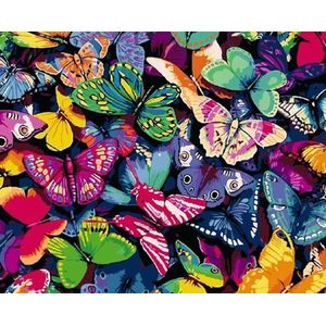 Diamond painting volwassenen, diamond painting pakket volledig, diamond painting kinderen, gekleurde vlinders 40X50