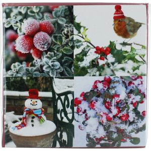 3 Pakjes van 10 wenskaarten Foto Collage Frozen roodborstje en sneeuwpop