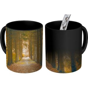 Magische Mok - Foto op Warmte Mokken - Koffiemok - Pad - Bomen - Bos - Magic Mok - Beker - 350 ML - Theemok