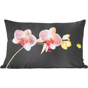 Sierkussens - Kussentjes Woonkamer - 50x30 cm - Orchidee - Bloemen - Zwart - Roze - Knoppen