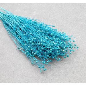 Droogbloemen - Vlas - Linum Usitatissimum - Aquamarine | 50cm | +- 100g | Perfect voor Boeketten, Decoratie, Doopsuiker, Huwelijk & Verjaardagen | Duurzaam en Stijlvol Bloemenarrangement