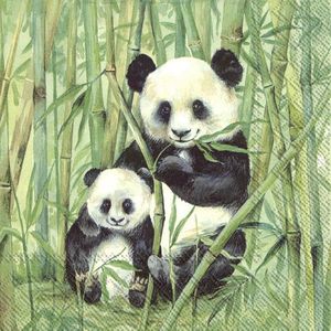 IHR - Panda - papieren lunch servetten