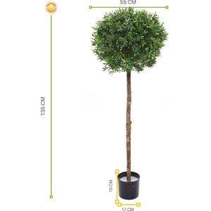 Kunst Hulst Ilex op stam 135 cm uv