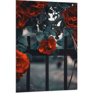 WallClassics - Vlag - Rode Bloemen in Groene Struik bij Hek - 80x120 cm Foto op Polyester Vlag