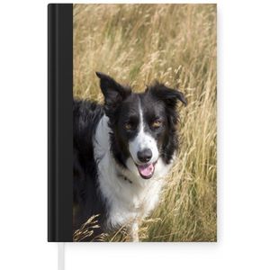 Notitieboek - Schrijfboek - Een border collie in het gele gras - Notitieboekje klein - A5 formaat - Schrijfblok