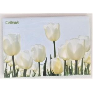Koelkast magneet foto witte tulpen Holland