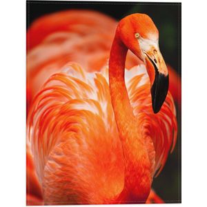 WallClassics - Vlag - Rode Flamingo - 30x40 cm Foto op Polyester Vlag