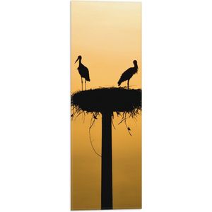 WallClassics - Vlag - Silhouet van Ooievaars op het Nest - 20x60 cm Foto op Polyester Vlag