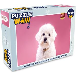 Puzzel Maltezer hond met een roze achtergrond - Legpuzzel - Puzzel 1000 stukjes volwassenen