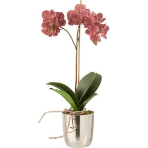 J-Line plant Orchidee In Pot - kunststof/cement - donkerroze/zilver