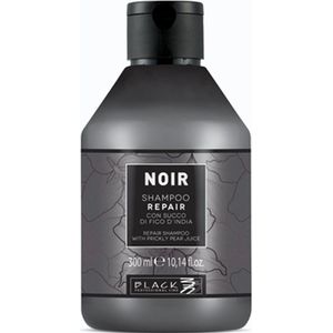 Black Professional - Noir Repair Shampoo