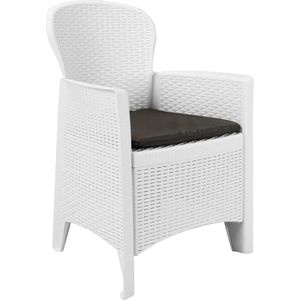 vidaXL Tuinstoelen met kussen - Rattan look - Wit Tuinstoel - Tuinset - Lounge Stoel - Buistuinstoel - Plastic Tuinstoel