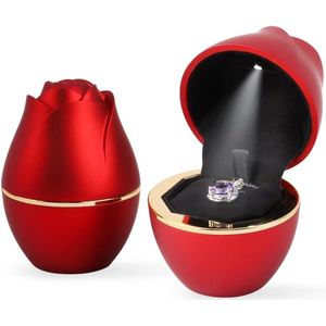 Hanger Dozen Sieraden Doos Oorbellen Ketting Opslag Organizer Bruiloft Ring Case Hart Ring Dozen met Lichten Sieraden Geschenkdozen voor Vrouwen (Rood)