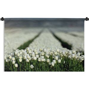 Wandkleed Witte tulpen - Close-up van een veld vol met witte tulpen Wandkleed katoen 60x40 cm - Wandtapijt met foto