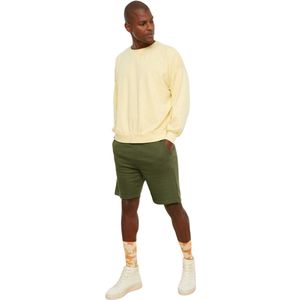 Trendyol Beige Standaard/Normale Snit Basisshorts En Bermuda Tmnss20Sr0068