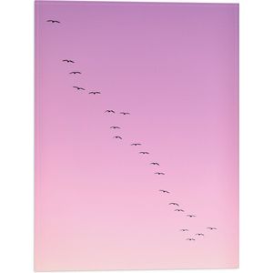 WallClassics - Vlag - Grote Groep Vogels door roze Lucht - 30x40 cm Foto op Polyester Vlag