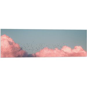 WallClassics - Vlag - Zwerm Vogels bij Roze Wolken in Blauwe Lucht - 90x30 cm Foto op Polyester Vlag
