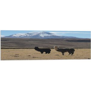 WallClassics - Vlag - Lama's in een Berglandschap - 90x30 cm Foto op Polyester Vlag