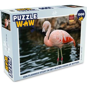 Puzzel Een flamingo staat in het water voor de rotsen - Legpuzzel - Puzzel 1000 stukjes volwassenen