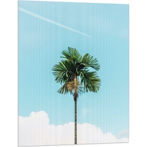 WallClassics - Vlag - Rechte Palmboom bij Blauwe Lucht en Wolken - 75x100 cm Foto op Polyester Vlag
