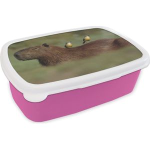 Broodtrommel Roze - Lunchbox - Brooddoos - Twee vogels zitten op een Capibara - 18x12x6 cm - Kinderen - Meisje