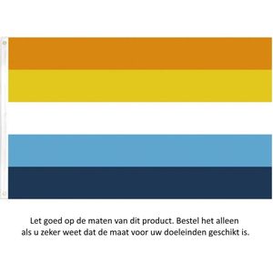 Aroace Gay Pride Vlag 150x90CM - LGBT - Regenboog Vlag - Aromantic - Asexual - ARO Ace - LGBTQ - Flag Polyester