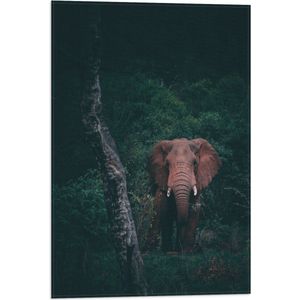 WallClassics - Vlag - Olifant in de Jungle - 40x60 cm Foto op Polyester Vlag