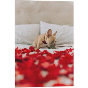 WallClassics - Vlag - Hondje op Bed met Rode Rozenblaadjes - Franse Buldog - 40x60 cm Foto op Polyester Vlag