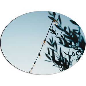 WallClassics - Dibond Ovaal - Lampslinger bij Groene Takken - 68x51 cm Foto op Ovaal (Met Ophangsysteem)