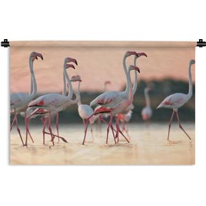 Wandkleed Flamingo  - Groep flamingo's bij zonsondergang in Italië Wandkleed katoen 180x120 cm - Wandtapijt met foto XXL / Groot formaat!