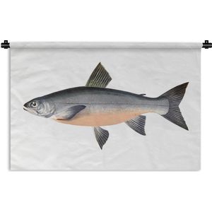 Wandkleed Vissen - Haring vis op een witte achtergrond Wandkleed katoen 150x100 cm - Wandtapijt met foto
