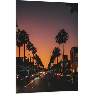WallClassics - Vlag - Palmbomen in de Nacht - 80x120 cm Foto op Polyester Vlag
