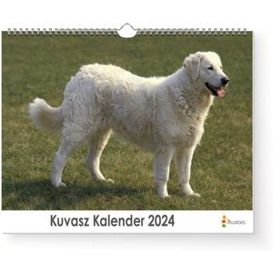 XL 2024 Kalender - Jaarkalender - Kuvasz