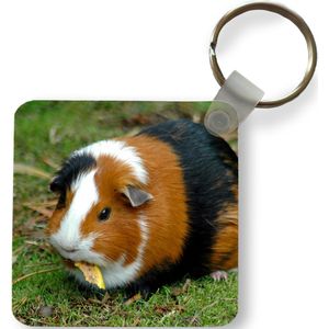 Sleutelhanger - Uitdeelcadeautjes - Cavia buiten - Plastic