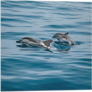 WallClassics - Vlag - Dolfijnen boven de Zee - 50x50 cm Foto op Polyester Vlag