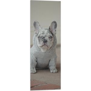 WallClassics - Vlag - Kleine Hond in Grijze Trui Zittend - 30x90 cm Foto op Polyester Vlag