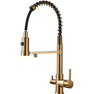 NELLA Dubbele Uitloop Keukenkraan met Filter – 2-in-1 Waterkraan - Gefilterd & Normaal Water - Trekbare Sproeier - Brushed Gold