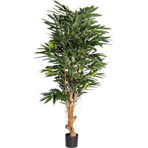 Ficus longifolia - kunstplant - 924 bladeren - 180cm - 90cm