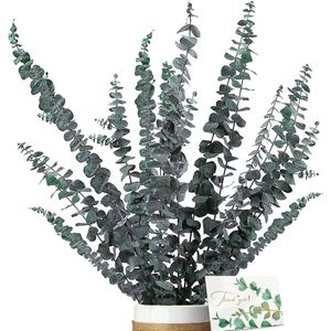 Eucalyptus gedroogd - natuurlijke droogbloemen, 16 stuks bevat wenskaarten, eucalyptus, echte eeuwig houdbare droogbloemen, decoratie voor de perfecte bruiloft, bloemenarrangementen voor thuis