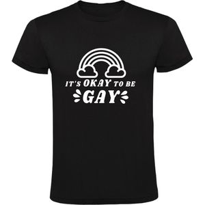 It's okay to be gay Heren T-shirt