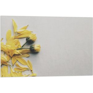 WallClassics - Vlag - Gele Bloemen met Losse Bloemblaadjes op Witte Achtergrond - 75x50 cm Foto op Polyester Vlag