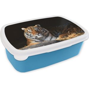 Broodtrommel Blauw - Lunchbox - Brooddoos - Tijger - Stro - Schaduw - 18x12x6 cm - Kinderen - Jongen