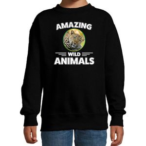 Sweater jaguar - zwart - kinderen - amazing wild animals - cadeau trui jaguar / jachtluipaarden liefhebber 122/128
