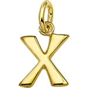 The Jewelry Collection Bedel Letter X - Goud